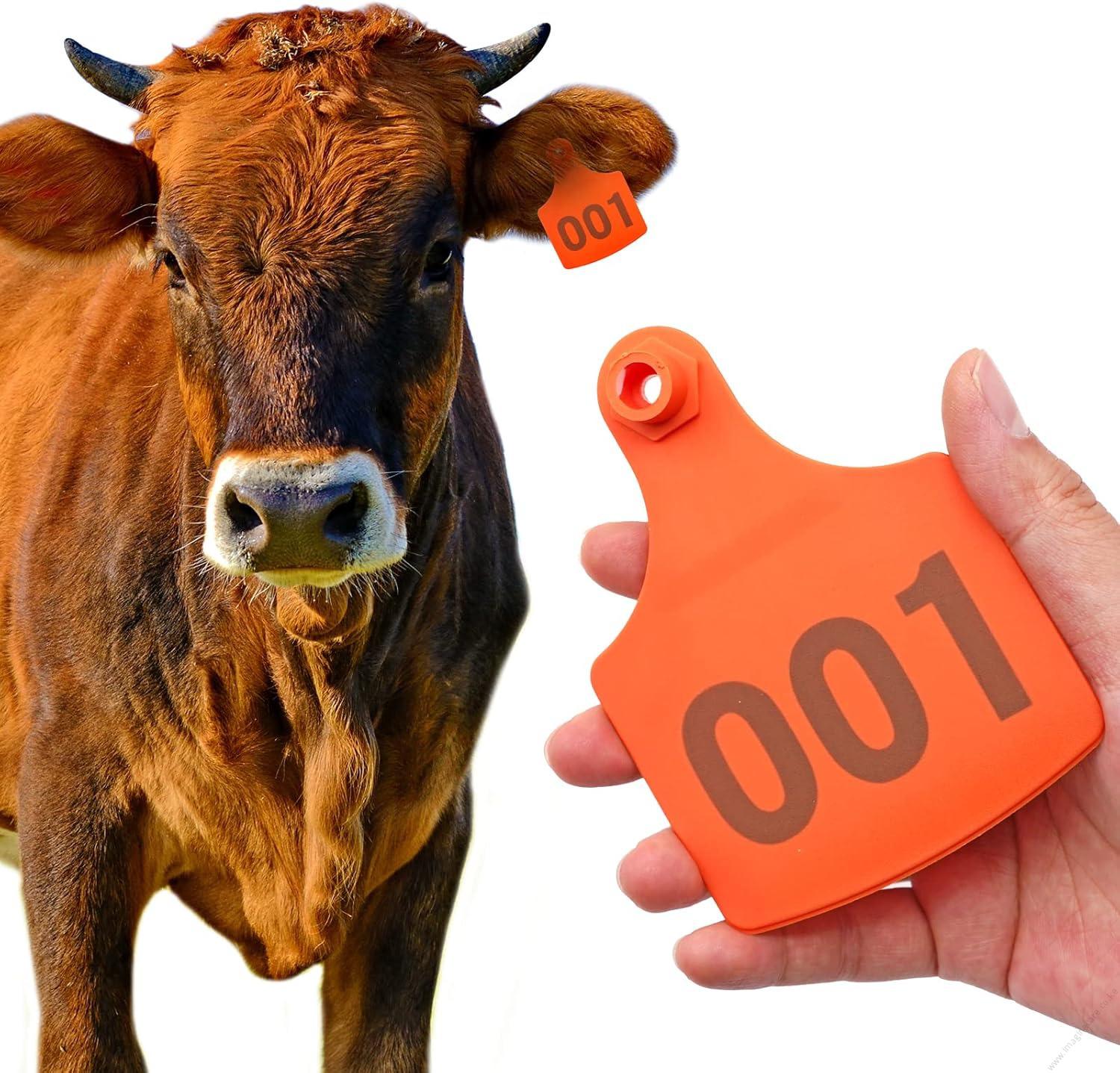 Cow Ear Tags Orange 100pcs