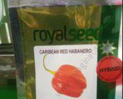 Hot Pepper Caribbean Red Habanero Red F1 500seeds