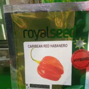 Hot Pepper Caribbean Red Habanero Red F1 500seeds