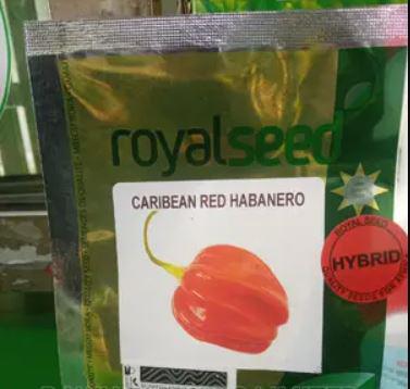 Hot Pepper Caribbean Red Habanero Red F1 500seeds