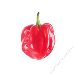 Hot Pepper Caribbean Red Habanero Red F1 500seeds