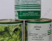 Lettuce Technism 100gms