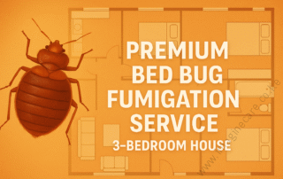 Premium Bed Bug Fumigation Service for 3-Bedroom Houses in Nairobi, Kiambu, Machakos, Kajiado and Kenya