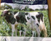 Forage Pearl Millet 1kg