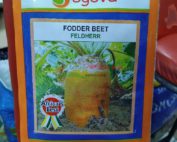 FODDER BEET FELDHERR 50G