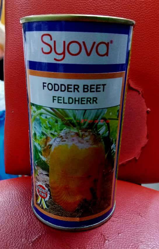 FODDER BEET FELDHERR 100G