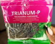 Trianum P 45g