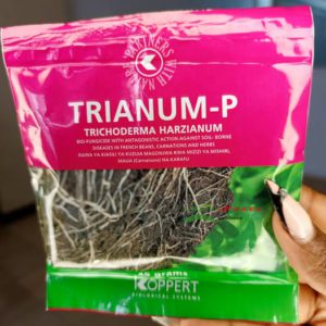 Trianum P 45g