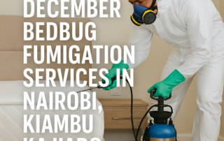 DECEMBER BEDBUG FUMIGATION SERVICES IN NAIROBI, KIAMBU, KAJIADO, MACHAKOS & KENYA