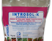 Introsol K 200g