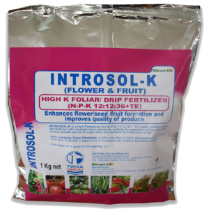Introsol K 200g