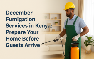 DECEMBER FUMIGATION SERVICES IN KENYA: PREPARE YOUR HOME BEFORE GUESTS ARRIVE