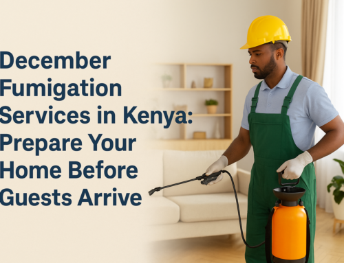 DECEMBER FUMIGATION SERVICES IN KENYA: PREPARE YOUR HOME BEFORE GUESTS ARRIVE