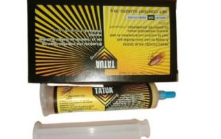 cockroach control through baiting Sygenta TATUA ADVION COCKROACH GEL