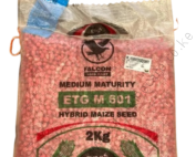 ETG M601 Hybrid Maize Seed 2kg