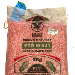ETG M601 Hybrid Maize Seed 2kg