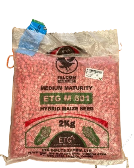 ETG M601 Hybrid Maize Seed 2kg