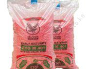 ETG M401 Hybrid Maize Seed 2kg
