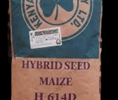 H 614D Maize Hybrid Seed