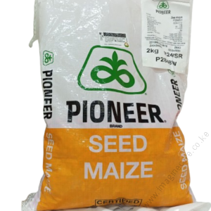 Pioneer P2848W Maize 2Kg