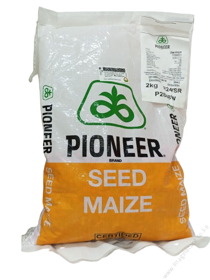 Pioneer P2848W Maize 2Kg