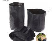 Seedling Bags 7x12x12 (Packet of 100 Pieces)