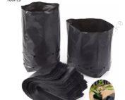 Seedling Bags 8×14×14 Packet of 100 Pieces