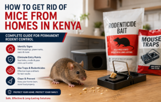 # How to Get Rid of Mice From Homes in Kenya: Complete Guide for Permanent Rodent Control Mice are among the most destructive household pests in Kenya. They contaminate food, spread diseases, damage property, and reproduce at an alarming rate. A small mouse problem can quickly become a full infestation if ignored. Whether you live in Nairobi, Mombasa, Kisumu, Nakuru, Eldoret, or any rural area, mice often enter homes searching for food, water, and shelter. This guide explains how to identify a mouse infestation, remove mice effectively, prevent future invasions, and choose the best rodent control solutions available in Kenya. ## Why Mice Are a Serious Problem Many homeowners underestimate mice because of their small size. A single female mouse can produce dozens of offspring within a year. Before long, a few mice become a colony hiding inside ceilings, kitchens, stores, and wall cavities. Mice create several problems: • Contaminate food with urine and droppings • Spread bacteria and diseases • Damage electrical wiring • Destroy clothes, books, and furniture • Cause unpleasant smells • Trigger allergies and respiratory issues • Attract other pests such as fleas and mites Mice are also skilled climbers and can squeeze through tiny openings. Research from pest control experts shows mice can enter through gaps as small as a pencil width. ## Signs You Have Mice in Your Home Many infestations go unnoticed until they become severe. Watch for these warning signs: ### Mouse Droppings Small dark pellets around cupboards, kitchen cabinets, stores, and behind appliances. ### Gnaw Marks Mice constantly chew to keep their teeth from overgrowing. Damaged packaging, furniture, and electrical cables are common signs. ### Scratching Sounds You may hear scratching or running sounds in ceilings, walls, and roofs, especially at night. ### Nesting Materials Shredded paper, cardboard, cloth, and insulation often indicate mouse nests. ### Unpleasant Odors A strong musky smell may develop in heavily infested areas. ### Footprints and Smears Greasy marks and tiny footprints often appear along walls and travel routes. ## Why Mice Enter Homes in Kenya Understanding why mice invade helps you stop them. The main reasons include: ### Food Sources Open food containers, animal feeds, grains, leftovers, and garbage attract mice. ### Water Availability Leaking taps, water bowls, and damp areas provide reliable water sources. ### Shelter Cluttered stores, ceiling spaces, and unused rooms offer safe nesting sites. ### Seasonal Changes Heavy rains and cold weather often push rodents indoors. ## Step 1: Eliminate Food Sources The first step in mouse control is removing what attracts them. Take the following actions: • Store cereals, flour, rice, and grains in sealed containers • Clean food spills immediately • Wash dishes before sleeping • Store pet food securely • Empty garbage bins regularly • Keep kitchens clean Many failed mouse control attempts occur because mice continue accessing food elsewhere. Pest control professionals consistently identify food availability as a major cause of persistent infestations. ## Step 2: Seal Entry Points If mice keep entering, trapping alone will not solve the problem. Inspect: • Doors • Windows • Roof spaces • Pipe openings • Ventilation gaps • Utility entry points Seal openings using: • Steel wool • Metal mesh • Cement mortar • Expanding foam • Wire mesh Professional rodent control programs prioritize exclusion because it prevents reinfestation. ## Step 3: Use Mouse Traps Traps help reduce active mouse populations. Popular options include: ### Snap Traps Fast, affordable, and effective. Place them: • Along walls • Behind appliances • Near droppings • Along known travel routes ### Glue Boards Useful for monitoring activity but less effective for large infestations. ### Live Capture Traps Capture mice without killing them. They require frequent inspection. For best results, place multiple traps simultaneously rather than relying on a single trap. ## Step 4: Apply Rodenticides Rodenticides are among the most effective methods for controlling large infestations. Common rodenticides available in Kenya include: • Storm Secure Bait Blocks • Rat-Kill Pellets • Rodent Control Pellets These products are designed to attract and eliminate rats and mice efficiently when used according to label instructions. Always: • Keep rodenticides away from children • Protect pets from exposure • Place bait in secure bait stations • Follow manufacturer instructions Professionals often combine baiting with proofing and monitoring for long-term success. ## Step 5: Clean and Disinfect Infested Areas After eliminating mice: • Wear gloves • Remove droppings safely • Disinfect contaminated surfaces • Dispose of nesting materials • Vacuum carefully This reduces odors and removes contamination left behind by rodents. ## Professional Mice Control Services in Kenya When mouse activity becomes severe, professional intervention delivers faster and more reliable results. Professional pest control companies conduct detailed inspections, identify entry points, install monitoring systems, place secure bait stations, and implement long-term prevention strategies. Integrated Pest Management programs combine trapping, baiting, proofing, sanitation, and follow-up inspections to achieve permanent control. If you are seeing mice during the day, finding fresh droppings daily, hearing constant ceiling activity, or noticing damaged electrical wiring, it is time to hire a licensed rodent control specialist. The cost of professional treatment is often far lower than repairing property damage caused by an expanding infestation. ## Buy Effective Rodenticides and Mouse Traps in Kenya Homeowners who prefer a DIY approach should invest in high-quality rodent control products. Professional-grade rodenticides such as Storm Secure Bait Blocks, Rat-Kill Pellets, and Rodent Control Pellets are widely used for controlling rats and mice in homes, stores, offices, and warehouses. Secure bait stations, snap traps, monitoring blocks, and mechanical traps provide additional protection and improve results. When purchasing rodent control products, choose reputable suppliers and always follow safety instructions. Combining traps, baiting, sanitation, and proofing produces the highest success rate. ## Natural Ways to Repel Mice Natural methods work best as preventive measures. Examples include: • Keeping compounds clean • Removing clutter • Trimming vegetation near buildings • Storing food properly • Eliminating water leaks Natural methods alone rarely eliminate established infestations but help reduce future problems. ## How to Prevent Mice Permanently Long-term prevention requires consistency. Follow these practices: • Inspect your property every month • Seal new cracks immediately • Keep food sealed • Manage waste properly • Maintain clean stores and kitchens • Trim bushes touching buildings • Monitor for fresh droppings • Use preventive bait stations where appropriate The most successful mouse control programs focus on prevention rather than repeated extermination. ## Frequently Asked Questions ### How long does it take to get rid of mice? Small infestations may be controlled within days. Large infestations often require several weeks of monitoring and treatment. ### Are mice dangerous? Yes. Mice contaminate food, spread diseases, and damage property. ### Do mice return after treatment? They will return if entry points remain open or food sources remain available. ### What is the fastest way to eliminate mice? A combination of inspection, proofing, trapping, rodenticides, and sanitation provides the fastest and most effective results. ## Final Thoughts Mice are persistent pests, but they are not impossible to control. Success comes from identifying the infestation early, removing food sources, sealing entry points, using effective traps and rodenticides, and maintaining good sanitation. Whether you choose professional pest control services or a DIY approach, acting quickly prevents costly damage and protects your family's health. The sooner you start, the easier it becomes to regain control of your home and keep mice away permanently.