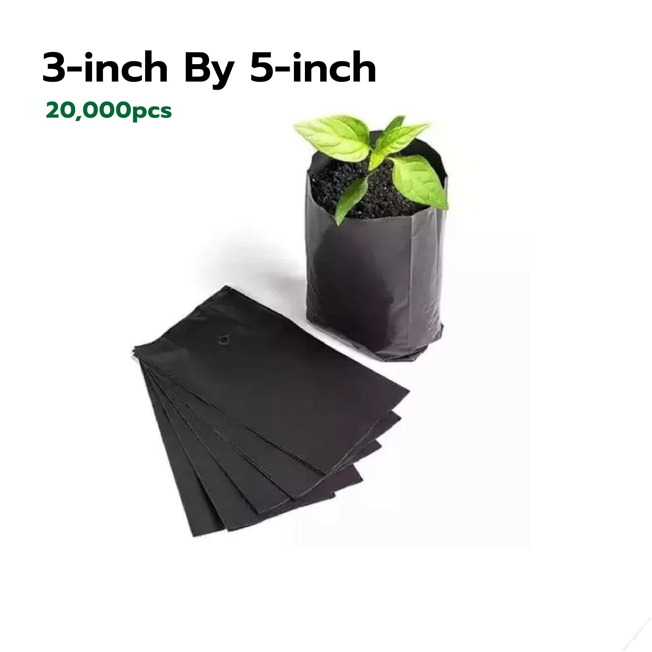Seedling Bags 3x5 (Packet of 20,000 Pieces)