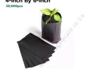 Seedling Bags 4x6 (Packet of 20,000 Pieces)