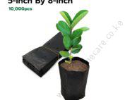 Seedling Bags 5x8 (Packet of 10,000 Pieces)