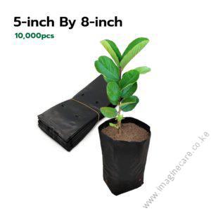 Seedling Bags 5x8 (Packet of 10,000 Pieces)