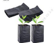 Seedling Bags 5x9x10 (Packet of 100 Pieces)