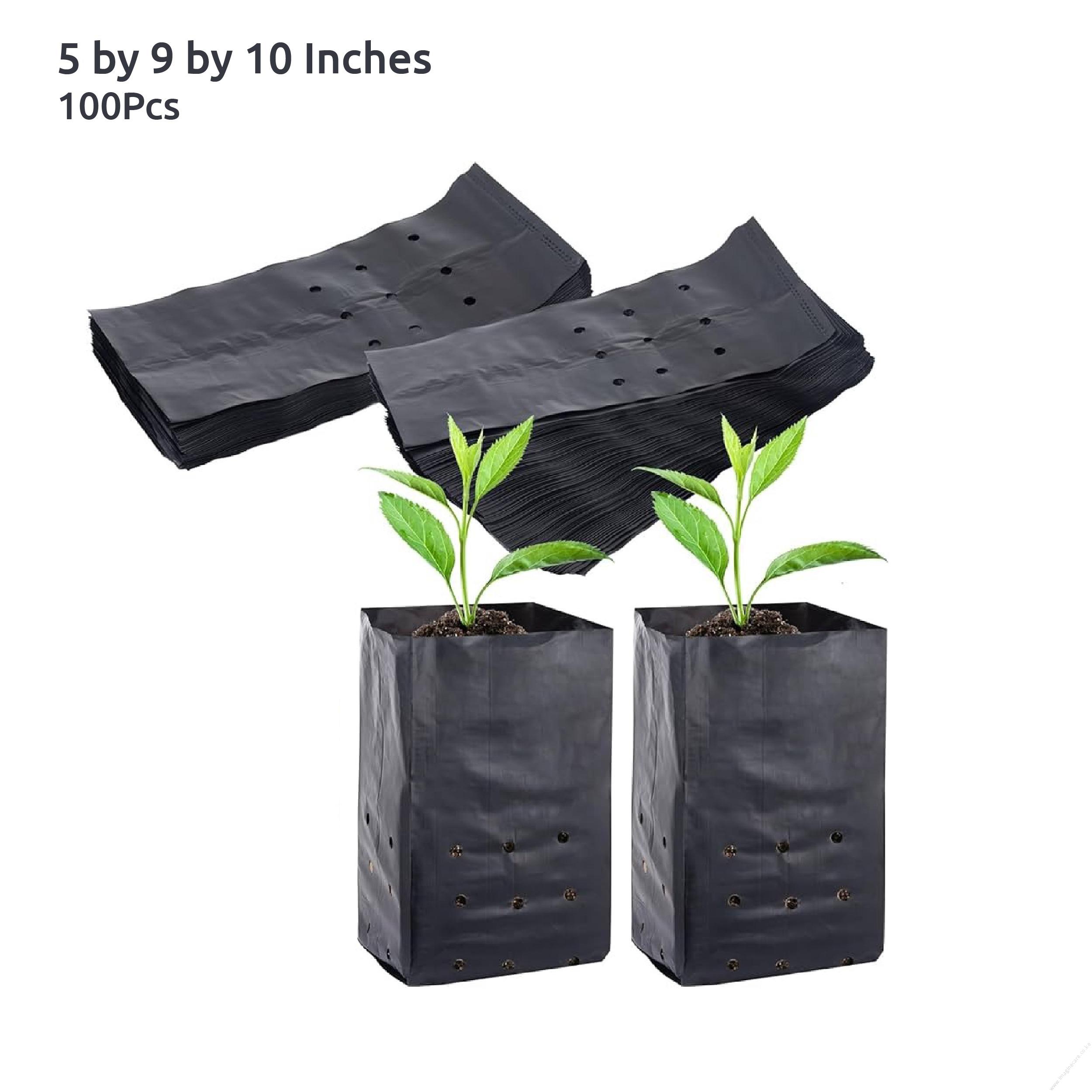 Seedling Bags 5x9x10 (Packet of 100 Pieces)
