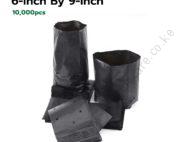 Seedling Bags 6x9 (Packet of 10,000 Pieces)