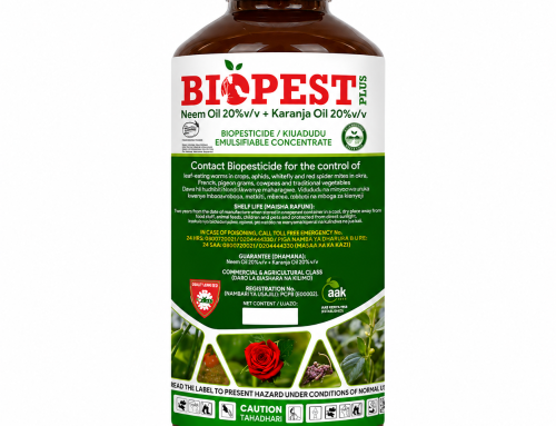 Biopest Plus is a broad-spectrum, 100% natural biopesticide formulated with Neem Oil 20%vv + Karanja Oil 20%vv. It effectively controls a wide range of pests and is safe for both farmers and the environment.
