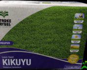 Kikuyu Lawn Grass Starke Ayres 500G